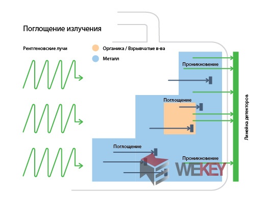 Проявочный автомат для обработки рентгеновской пленки или система для компьютерной радиографии